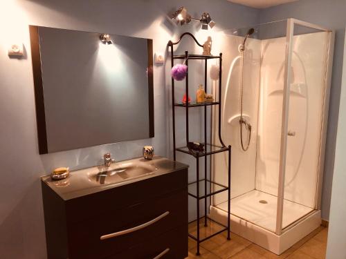 La salle de bains est pourvue d'un lavabo et d'une douche. dans l'établissement Domaine Du Bas De Chene, à Saint-Sernin-du-Bois