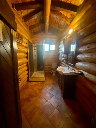a bathroom with a sink and a toilet in a log cabin at Cabana vânătorului in Râşnov