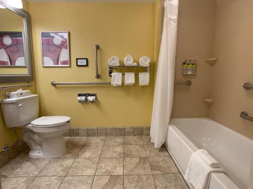 a bathroom with a toilet and a tub and a sink at Holiday Inn Express Hotel & Suites Charleston-Ashley Phosphate by IHG in Charleston