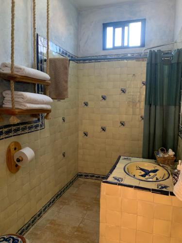 a bathroom with a shower with a toilet and a sink at La Casona Azul Boutique Hotel in Malinalco