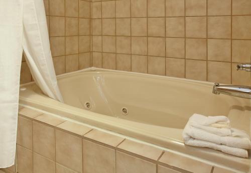 Holiday Inn Express Kansas City Liberty Missouri, an IHG Hotel tesisinde bir banyo