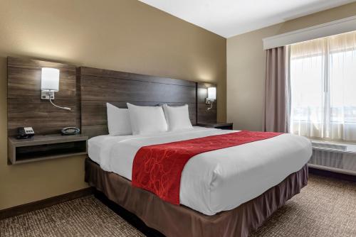 a hotel room with a large bed and a window at Comfort Suites near Robins Air Force Base in Warner Robins