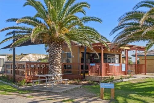 Adelaide的住宿－Discovery Parks - Adelaide Beachfront，一座建筑前的棕榈树