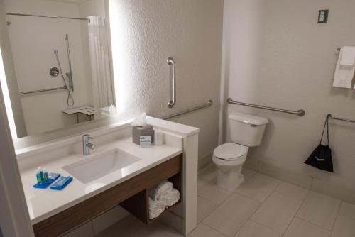 a bathroom with a sink and a toilet at Holiday Inn Express & Suites - Mishawaka - South Bend by IHG in Granger