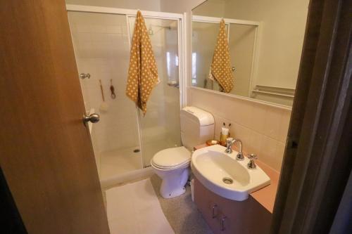a bathroom with a toilet and a sink and a shower at Hotel High Plains in Dinner Plain