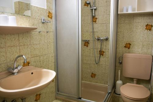 a bathroom with a shower and a sink and a toilet at Haus-am-Deich-Wohnung-1 in Dahme