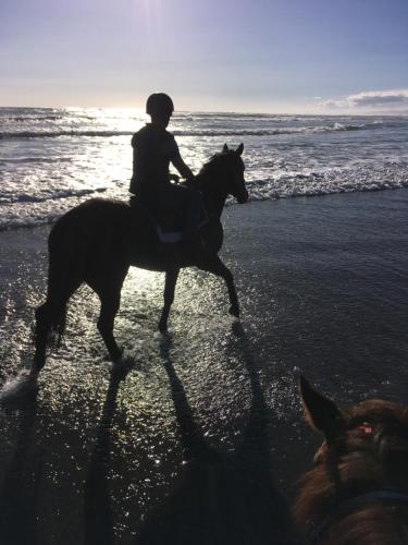a person riding a horse on the beach at Horseinaround in Cambridge