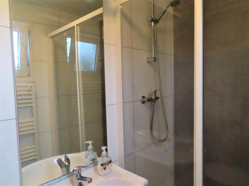 Luxe Chalet Oostkapelle OK28 tesisinde bir banyo