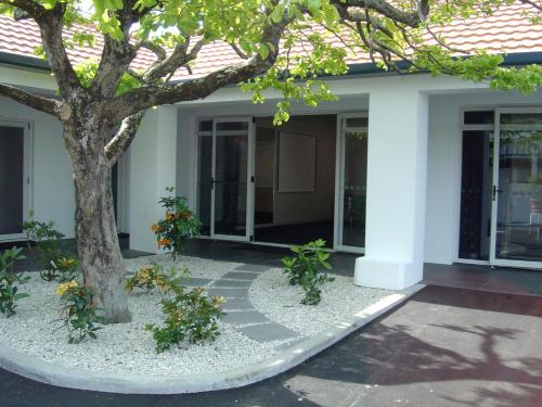 a building with a tree in front of it at The Tauranga on the Waterfront in Tauranga