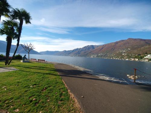 a beach next to a body of water with palm trees at Osteria Ascona in Ascona