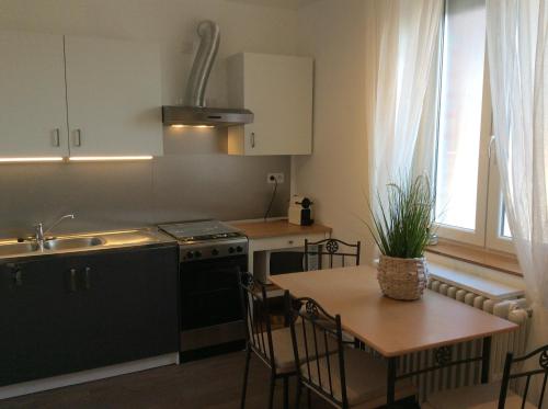 - une cuisine avec une table, une cuisinière et un évier dans l'établissement Appartement de vacances a St Pierre du Vauvray, à Saint-Pierre-du-Vauvray