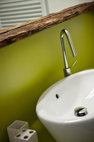 a bathroom with a white sink and a green wall at Agriturismo Florandonole in Fai della Paganella
