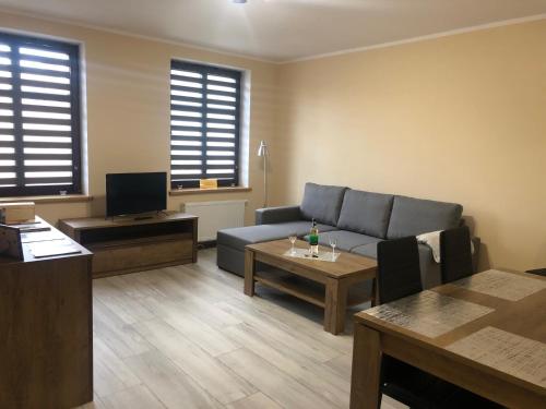 a living room with a couch and a table at Apartamenty ALICJA in Dzierżoniów