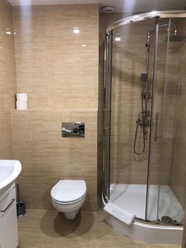 a bathroom with a shower with a toilet and a sink at Apartamenty ALICJA in Dzierżoniów