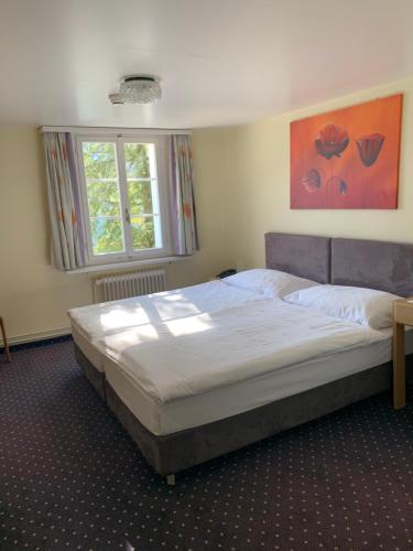 Postel nebo postele na pokoji v ubytování Hotel - Restaurant Eierhals am Ägerisee