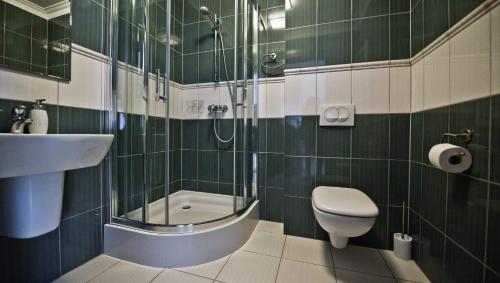 W łazience znajduje się prysznic, toaleta i umywalka. w obiekcie Dwór Niemierzyce w mieście Granowo