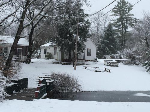 a house in a yard covered in snow at Echo Valley Cottages in Coolbaugh