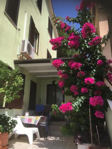a bunch of pink flowers on the side of a building at Greenhouse family apartments in Rabac
