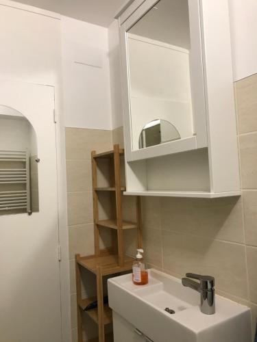 ein Badezimmer mit Waschbecken und Spiegel in der Unterkunft Studio plein centre, calme, parking inclus, piscine et gardien in Grenoble