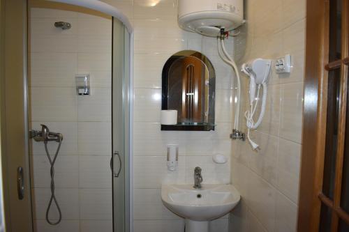 a small bathroom with a sink and a shower at FG Dzherelo S in Malaya Bugayevka