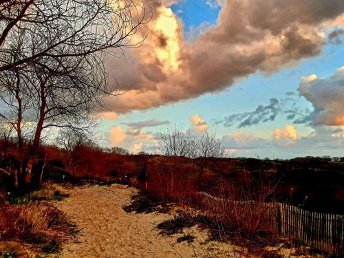 Gallery image of Lilafee in De Panne