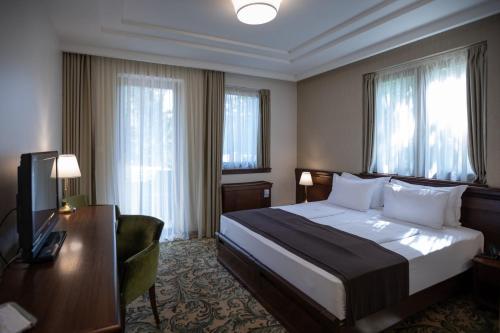 um quarto de hotel com uma cama, uma secretária e uma televisão em Hotel & Spa PALIĆ RESORT em Palić