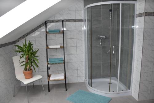 uma casa de banho com um chuveiro, um WC e uma planta em EKO-Hof em Mitterlabill