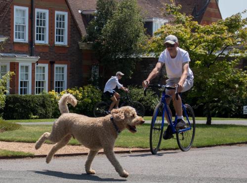 a man riding a bike with a dog on a leash at Barnett Hill Hotel in Guildford