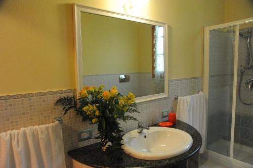 La salle de bains est pourvue d'un lavabo, d'un miroir et d'une douche. dans l'établissement Bed and Breakfast Su Niu, à Quartucciu