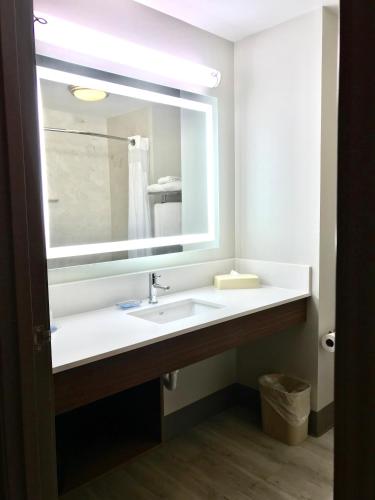 a bathroom with a sink and a mirror at Holiday Inn Express Hotel & Suites Somerset Central by IHG in Somerset