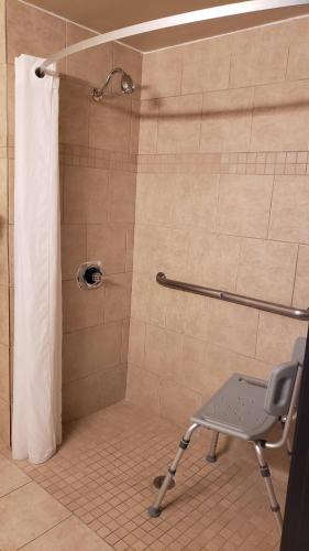 Ένα μπάνιο στο Quality Inn DFW Airport North - Irving