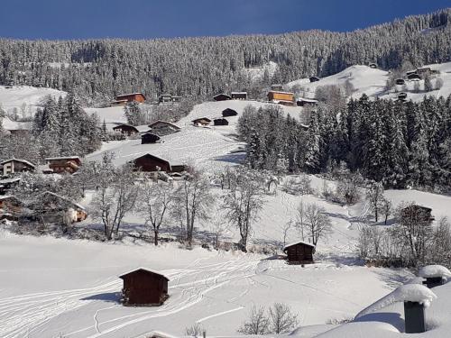 a village covered in snow with trees and houses at Luxus Apartment Nina mit Zirbenhütte in Ramsau im Zillertal