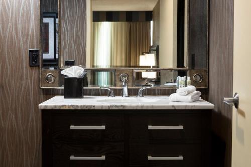 a bathroom with a sink and a mirror at Holiday Inn Hotel & Suites Des Moines-Northwest, an IHG Hotel in Urbandale