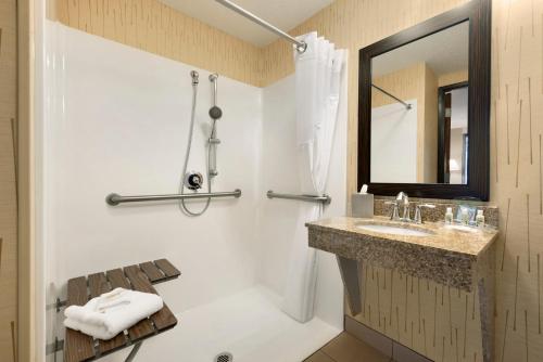 ダルースにあるHoliday Inn & Suites Duluth-Downtown by IHGの洗面台と鏡のあるバスルーム