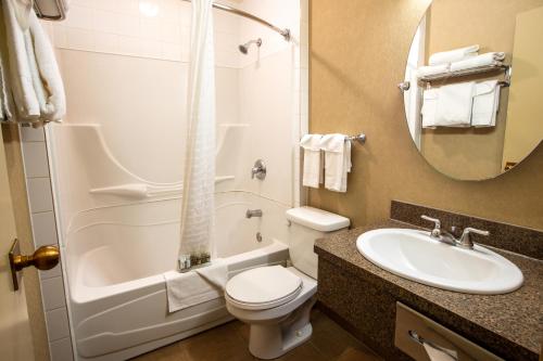 La salle de bains est pourvue de toilettes, d'un lavabo et d'un miroir. dans l'établissement Lobstick Lodge, à Jasper