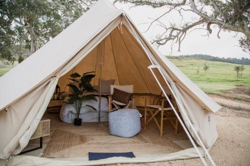 Mansfield Glamping - ADULTS ONLY