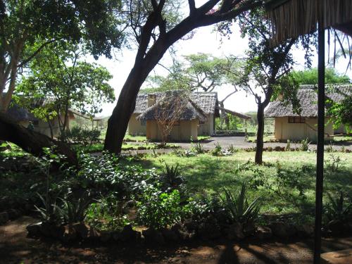 a view of the grounds of a house with trees at Severin Safari Camp in Tsavo West National Park