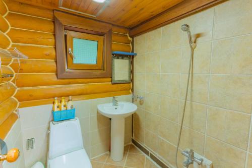 a bathroom with a toilet sink and a shower at Jungmun Log Pension & Resort in Seogwipo