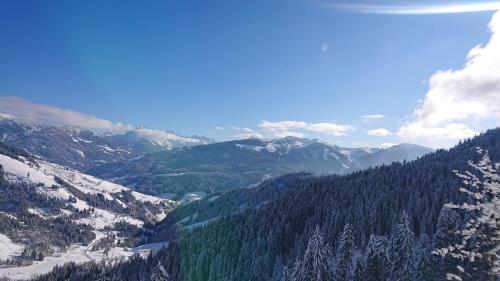 a view of a snow covered mountain range with trees at Lindbichlhof Urlaub am Bio Bauernhof in Sankt Johann im Pongau
