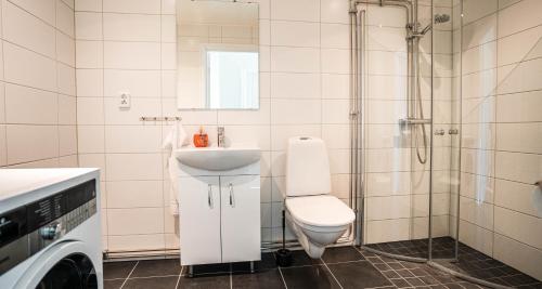 uma casa de banho com um WC, um lavatório e um chuveiro em Saxnäs Ferieboende L Sara em Färjestaden