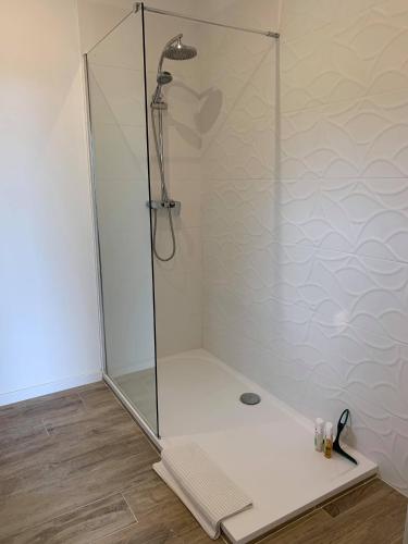 a shower with a glass door in a bathroom at Domaine de Sévanes in Saint-Paul-les-Fonts