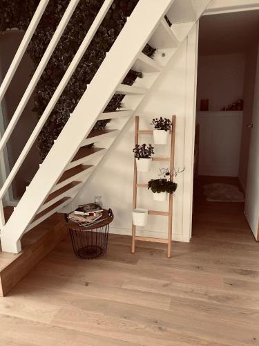 a room with a staircase with a shelf with plants at Lichtrijke loft bij restaurant Den Olifant in Ypres