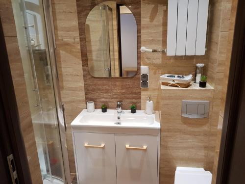 Kúpeľňa v ubytovaní Apartament Przy Rynku