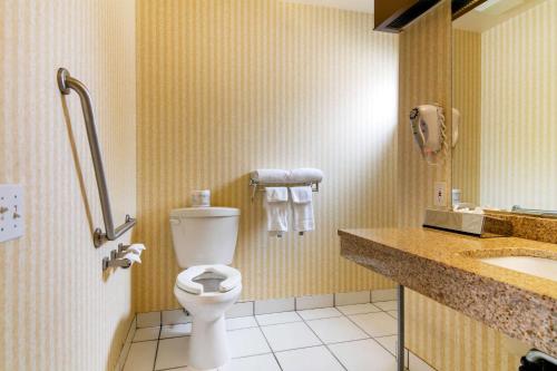 Bilik mandi di Econo Lodge Inn & Suites