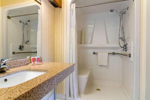 Bilik mandi di Econo Lodge Inn & Suites