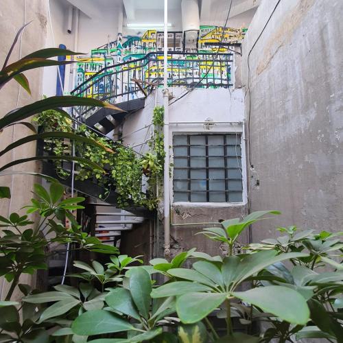 a spiral staircase in a building with plants at Madina Hostel in Cairo