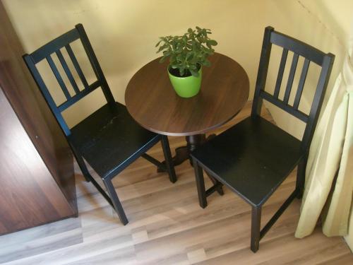 a table and two chairs with a potted plant on it at Green Hostel Wrocław przy ZOO in Wrocław