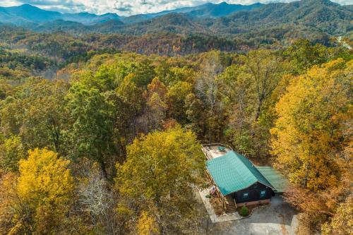 an aerial view of a house in the middle of a forest at Happy Top Hideaway in Bryson City