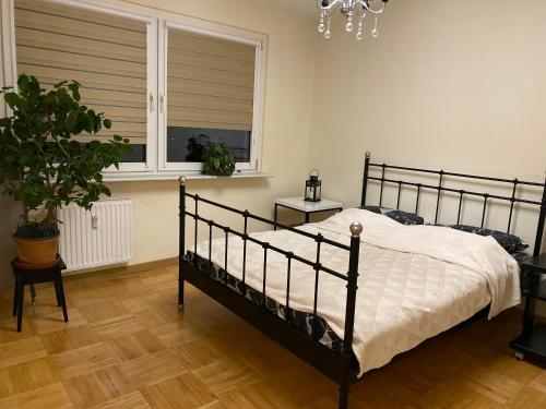 a bedroom with a black bed and a window at Apartament Arkońska in Szczecin