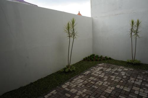 two palm trees in a corner of a white wall at Cemara Homestay Jogja in Yogyakarta